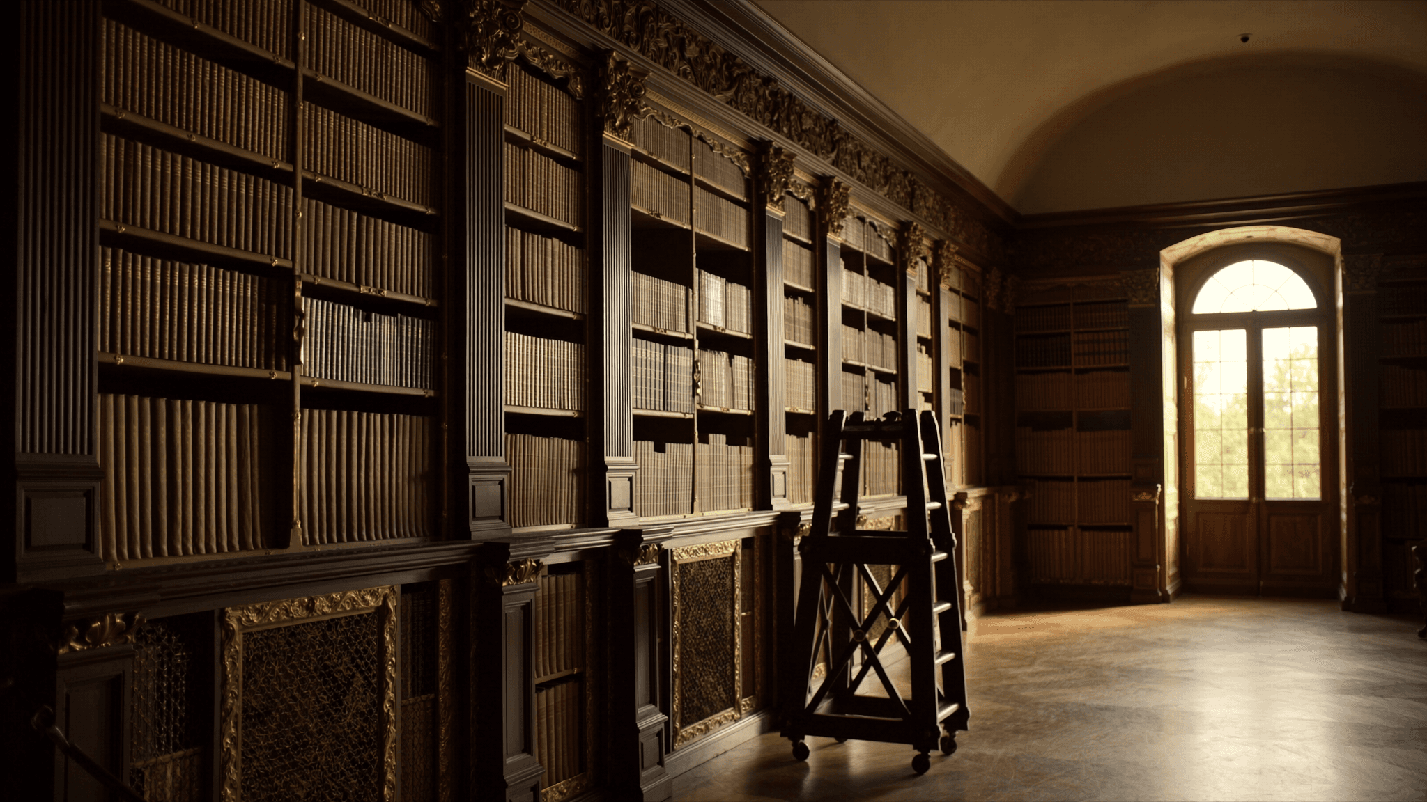 Bibliothèque dense, métaphore du savoir intégré au modèle